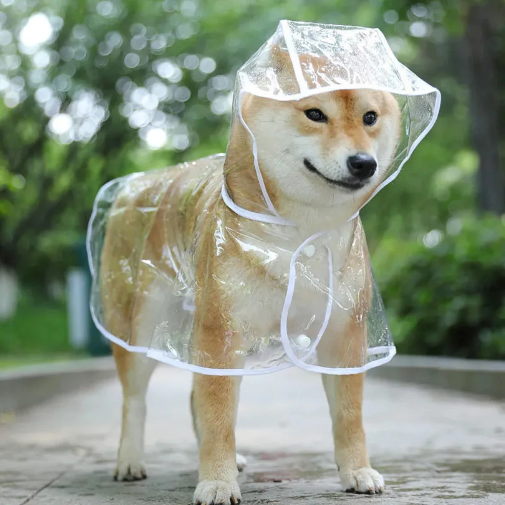 Dog Raincoat - Hunde-Regenmantel, transparente Regenbekleidung für Welpen, Haustier,
