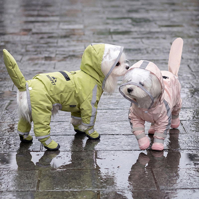 Dog Raincoat - Wasserdichter Hunde-Regenmantel, transparente Kapuze, vierteilige Regenjacke