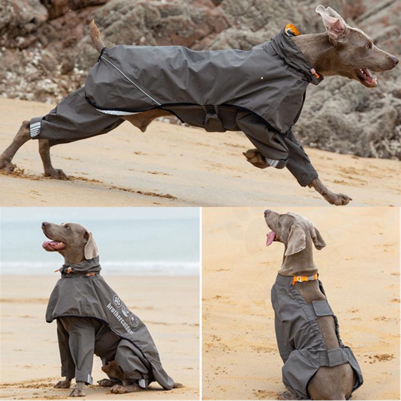 Dog Raincoat - Wasserdichter Hunde-Regenmantel-Overall für mittelgroße und große
