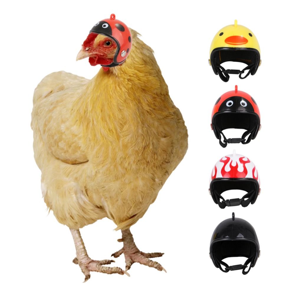 Pet X Supplies & Tack Howell Photos - ABS Haustierzubehör Lustiger Schutzhelm für Haustiere
