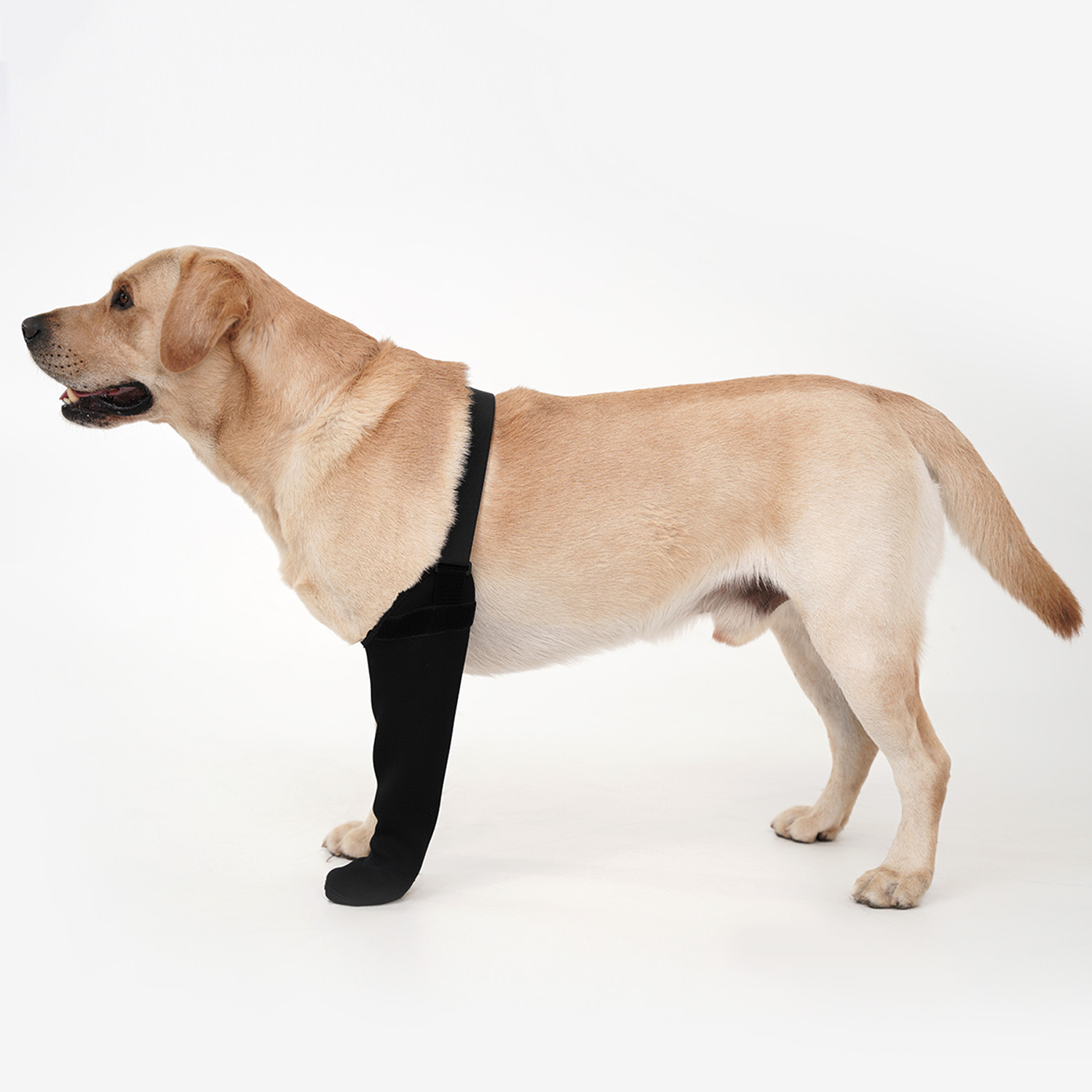 Dog Raincoat - Wasserdichte Einbeinige Hundesocke Rutschfester Schutzüberzug für