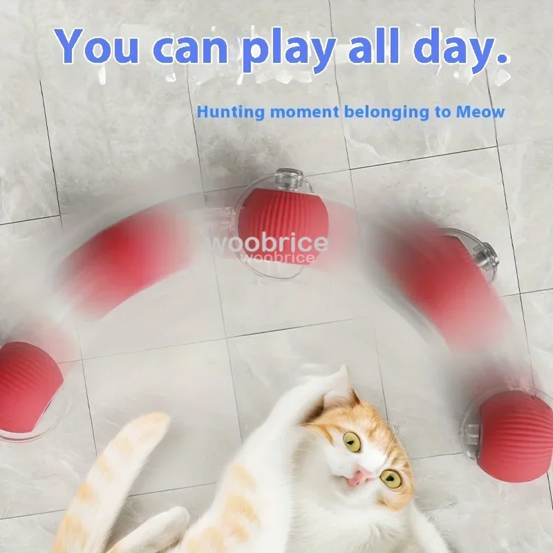HOT Smarte Katzenspielzeuge: A – Pet Supplies First Bewertung und Preis