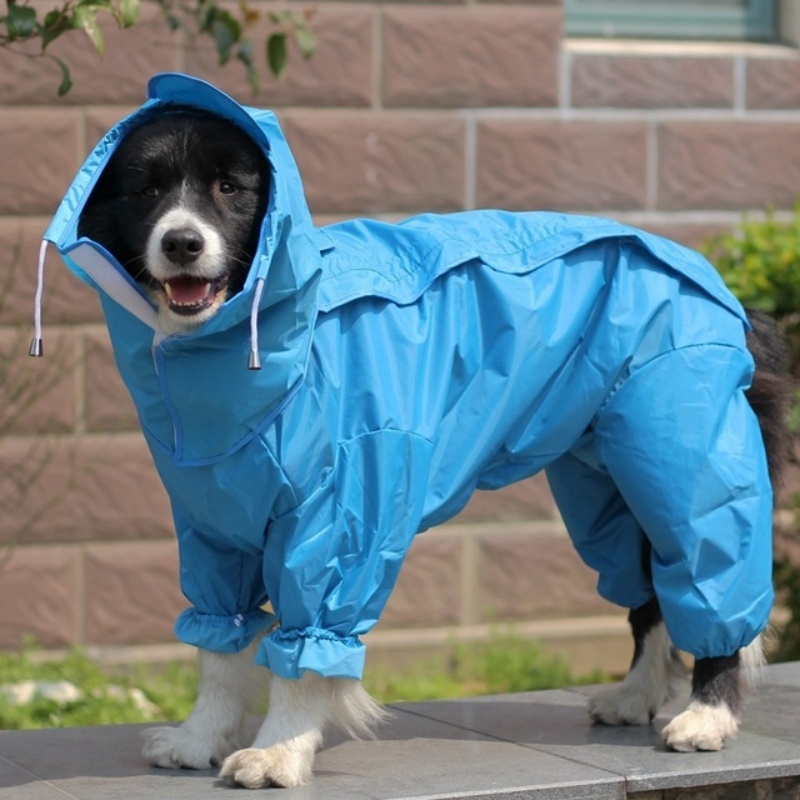 Outdoor-Hunde-Regenmantel, Ove – Dog Raincoat Bewertung und Preis