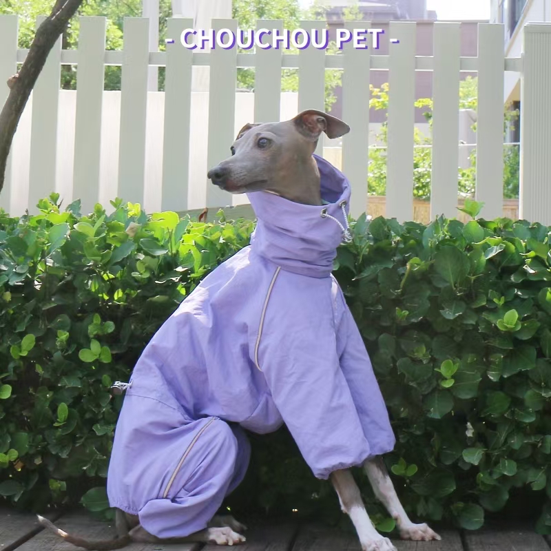 Italienischer Windhund-Regenma – Dog Raincoat Bewertung und Preis