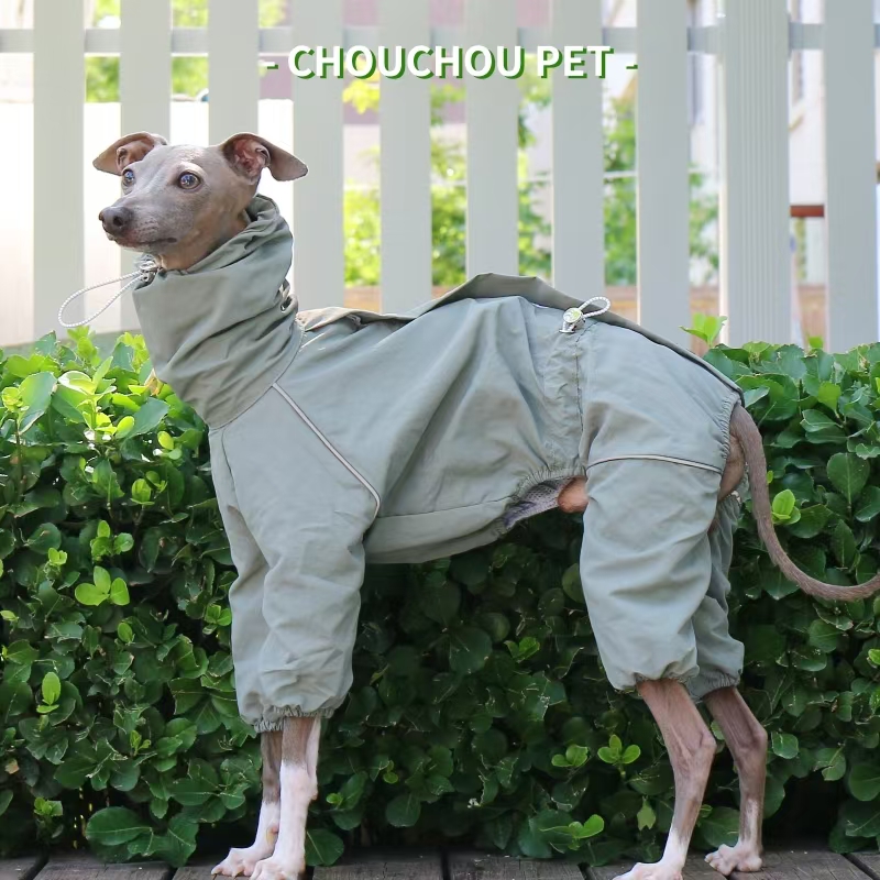 Italienischer Windhund-Regenma – Dog Raincoat Bewertung und Preis