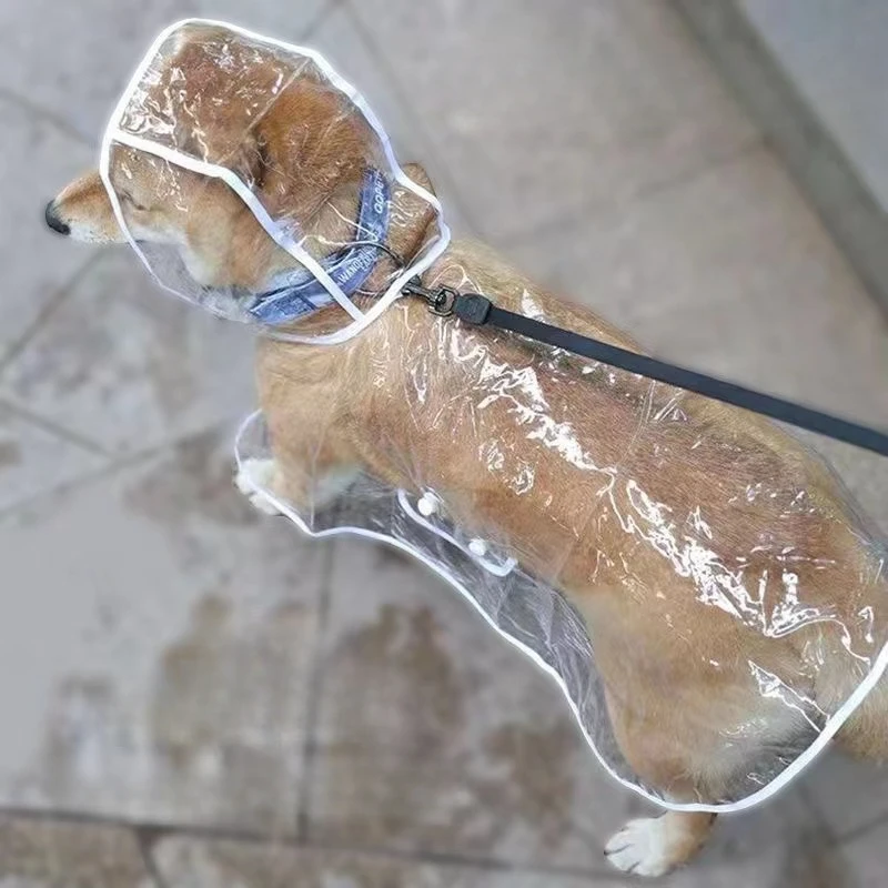 Hunde-Regenmantel, transparent – Dog Raincoat Bewertung und Preis