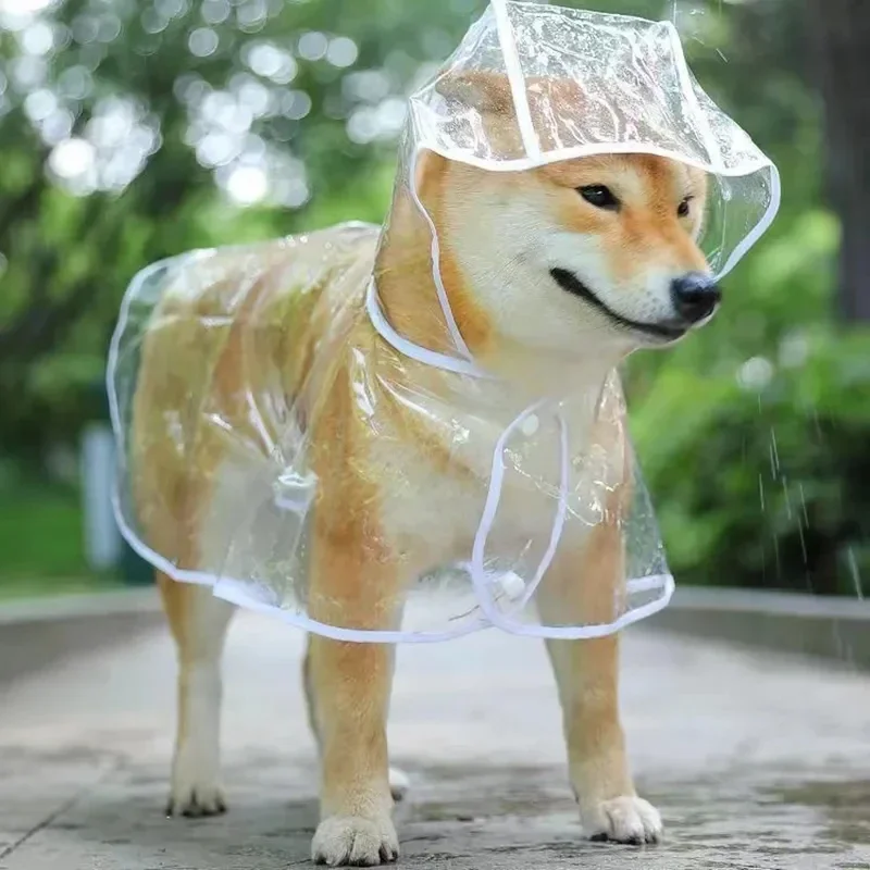 Hunde-Regenmantel, transparent – Dog Raincoat Bewertung und Preis