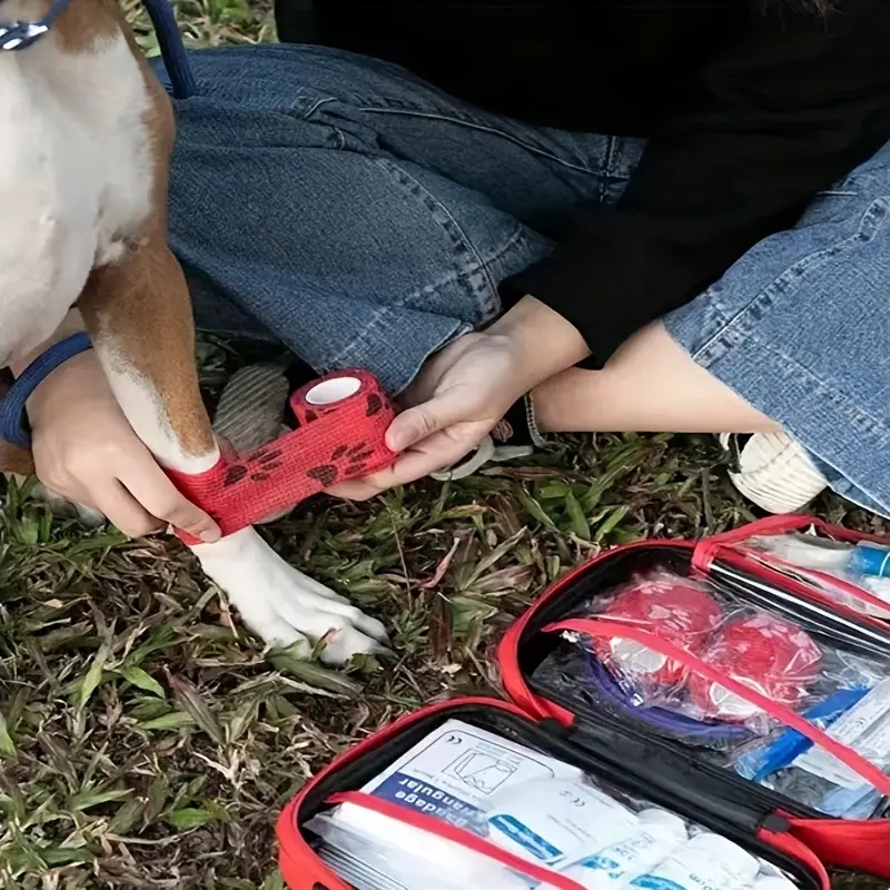 Kompaktes Erste-Hilfe-Set für  – Pet Supplies First Bewertung und Preis