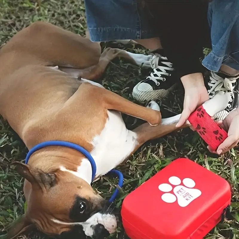 Kompaktes Erste-Hilfe-Set für  – Pet Supplies First Bewertung und Preis