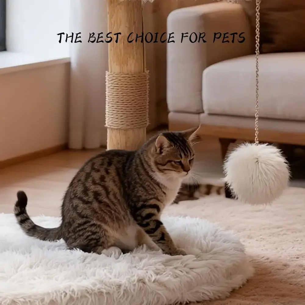 Indoor-Katzenbaum mit Natürlic – Cat Scratching Post Bewertung und Preis