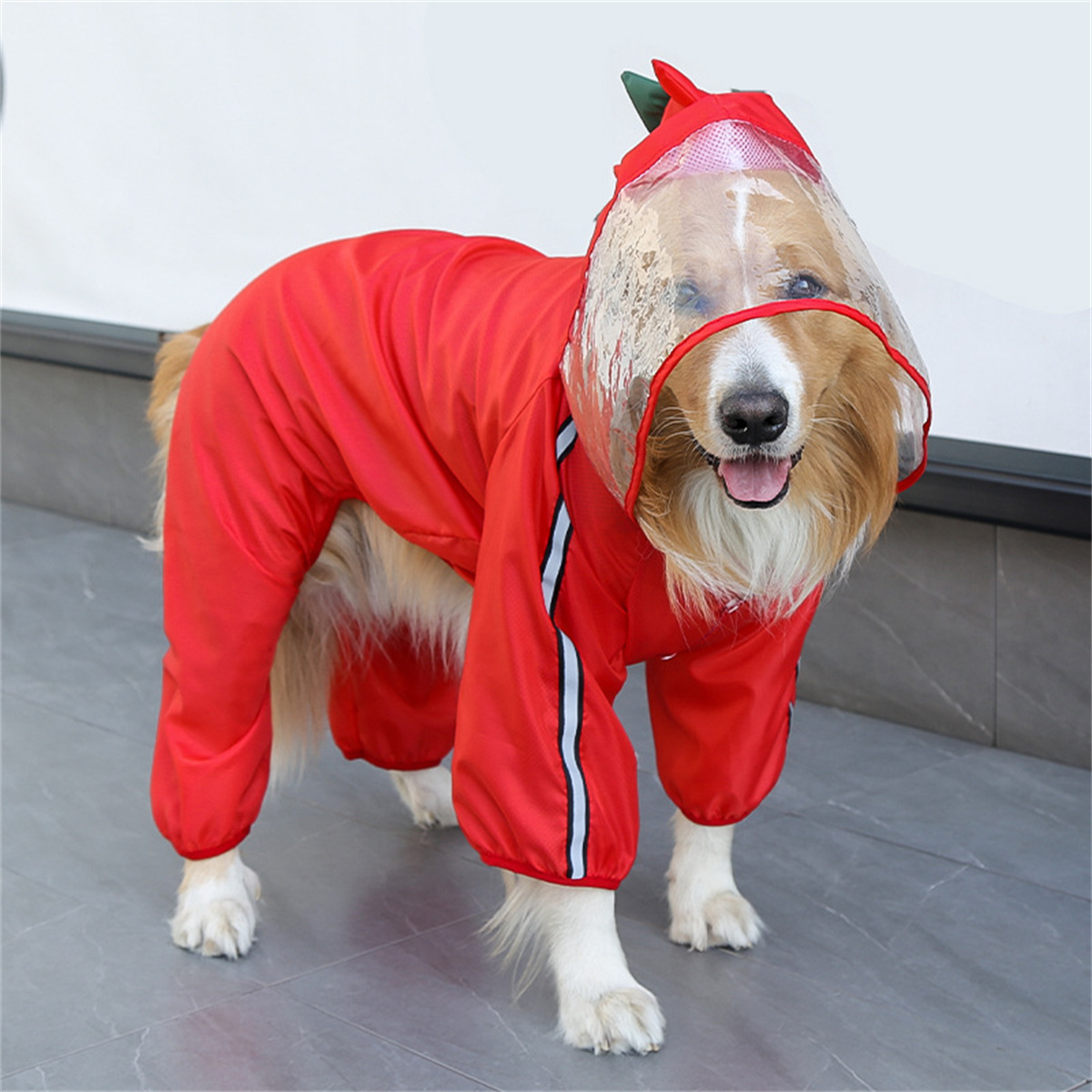 Hunde-Regenmantel, wasserdicht – Dog Raincoat Bewertung und Preis