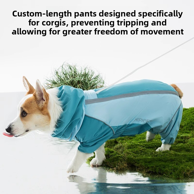2026 Vollflächiger Farbblock-H – Dog Raincoat Bewertung und Preis