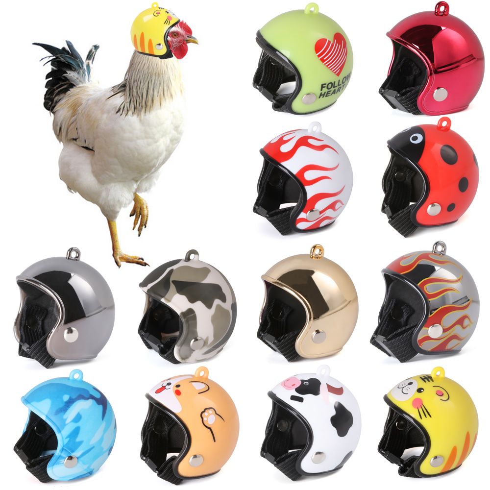 ABS Haustierzubehör Lustiger S – Pet X Supplies & Tack Howell Photos Bewertung und Preis
