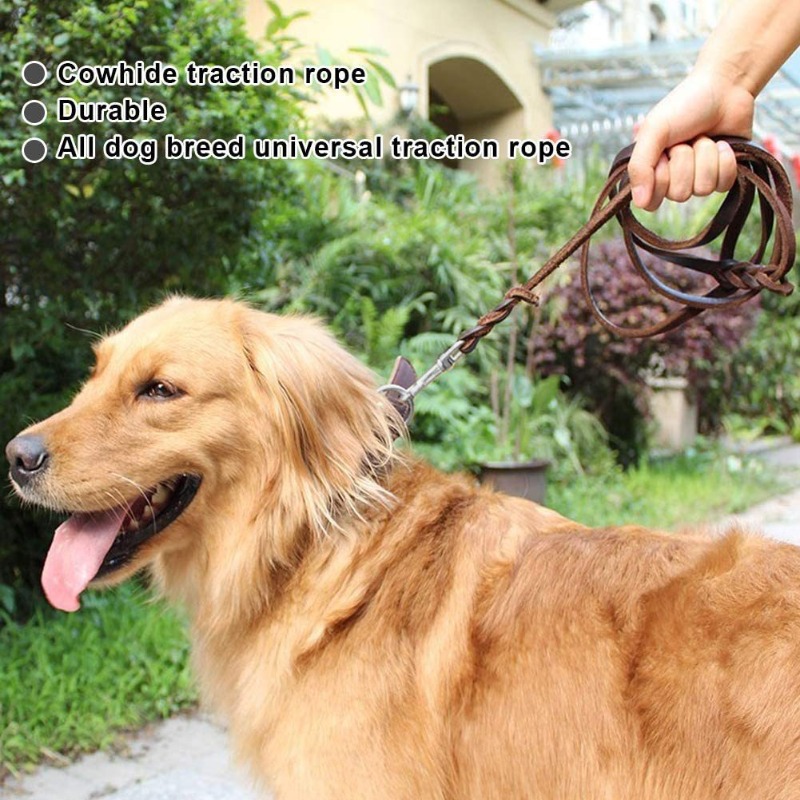 Erste Schicht Rindsleder Leine – Pet Supplies First Bewertung und Preis