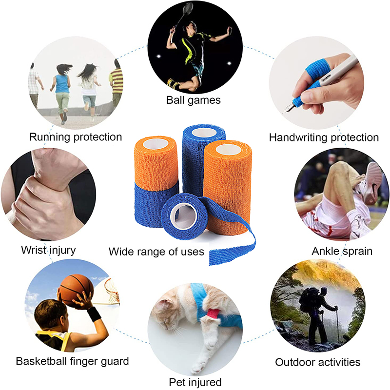 Pexmen 6 Farben Self Adhesive  – Pet Supplies First Bewertung und Preis