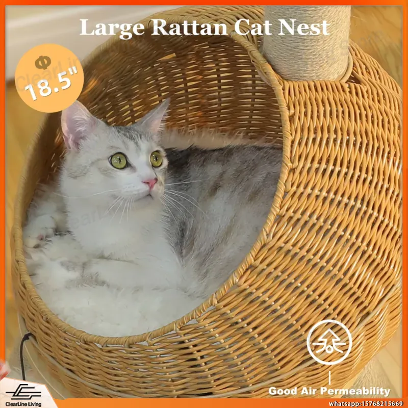 Dinosaurier-Katzenbaum mit Sis – Cat Scratching Post Bewertung und Preis